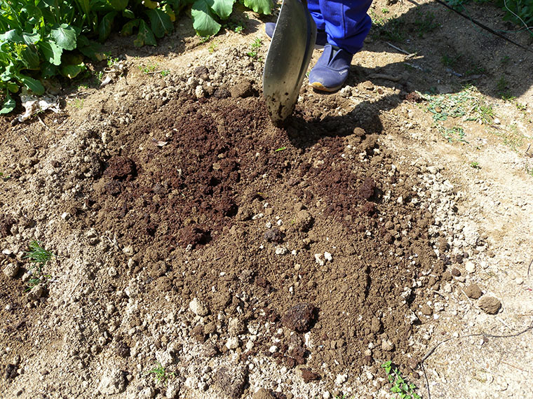 土、堆肥と肥料を混ぜ合わせる（20160415撮影）