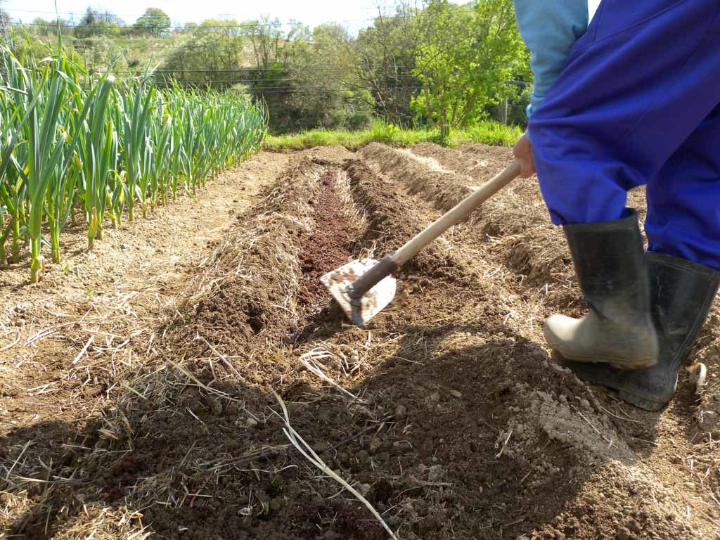 堆肥と肥料の上に土をかぶせる（20160505撮影）