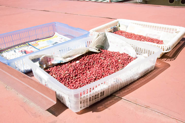 20161014_red-beans-31